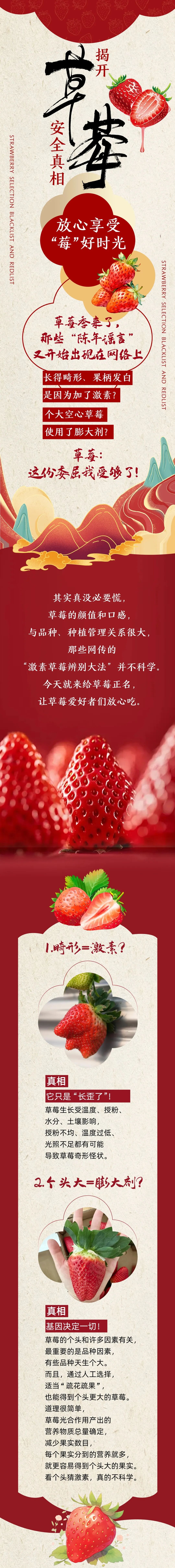 附件：原圖（一圖讀懂關于草莓的真相，你不放心的一次講清）.jpg